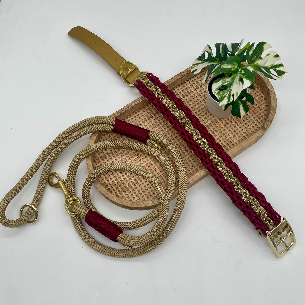 Collier paracorde pour chien tressage "Norvège" - Edition Limitée