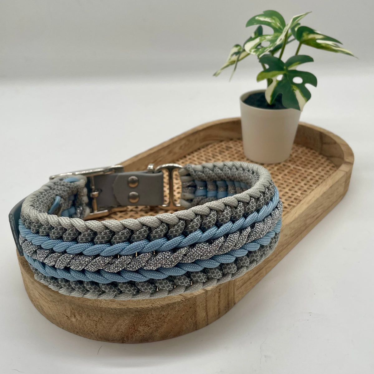 Collier paracorde pour chien tressage "Pays Bas" - Edition Limitée