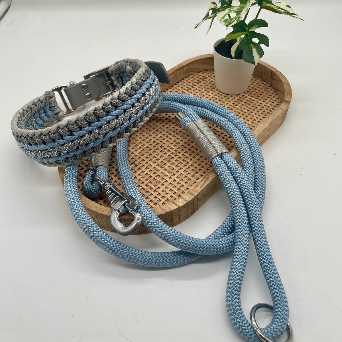 Collier paracorde pour chien tressage "Pays Bas" - Edition Limitée