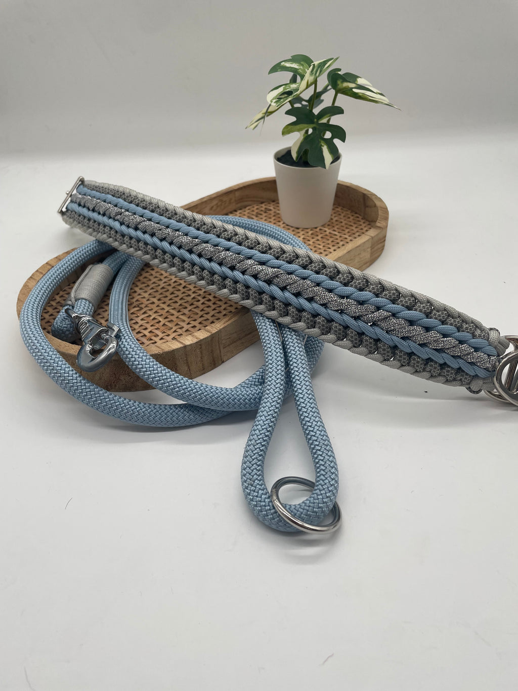 Collier paracorde pour chien tressage "Pays Bas" - Edition Limitée