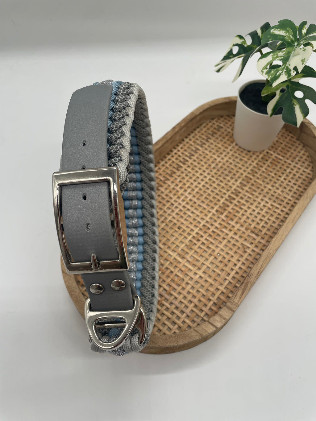 Collier paracorde pour chien tressage "Pays Bas" - Edition Limitée