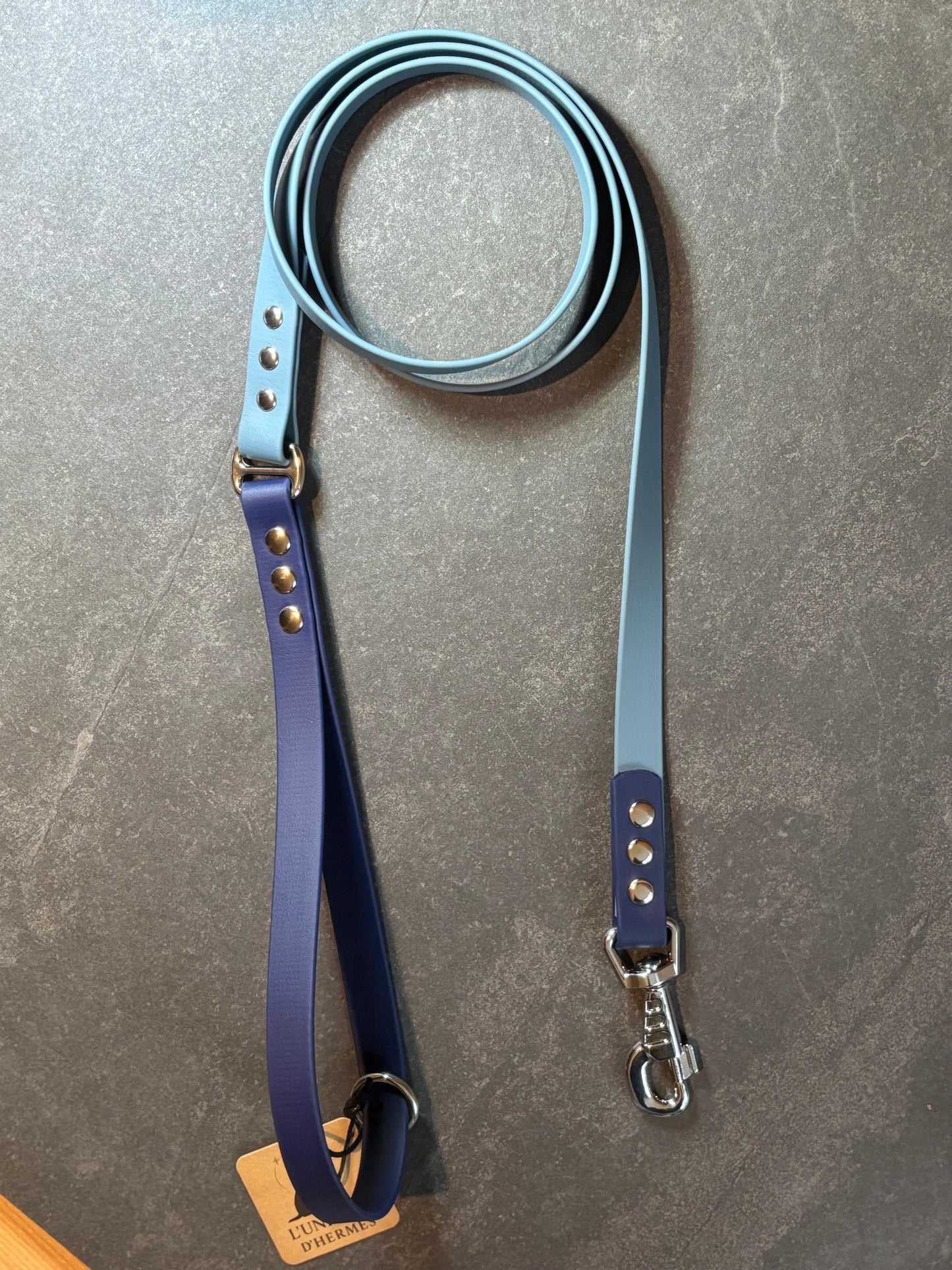 Laisse en Biothane bi couleur