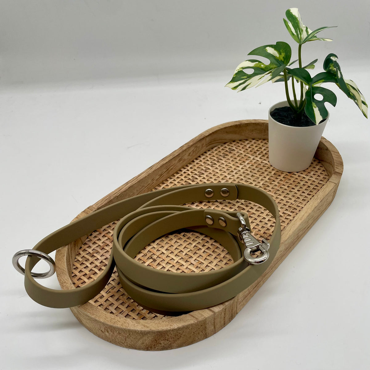 Laisse en biothane mono colore pour petit chien