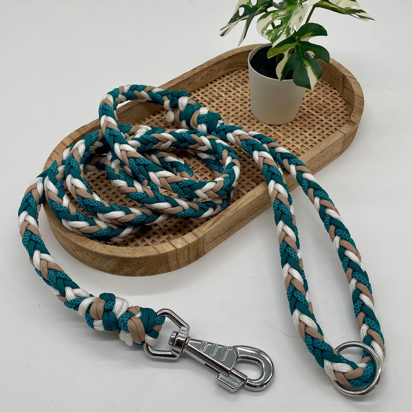 Laisse Paracord