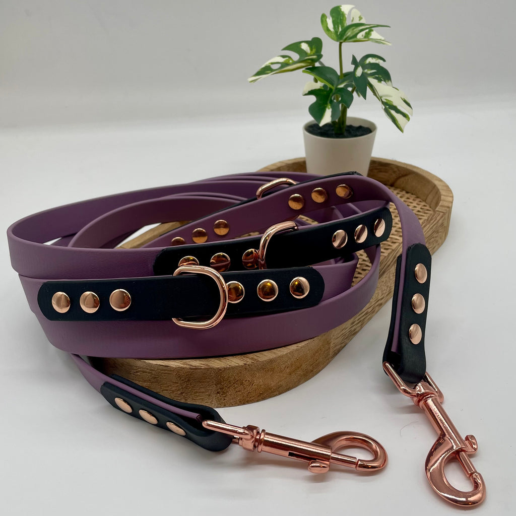 Laisse en biothane 3 points pour chien