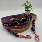 Laisse en biothane 3 points pour chien