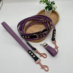 Laisse en biothane 3 points pour chien