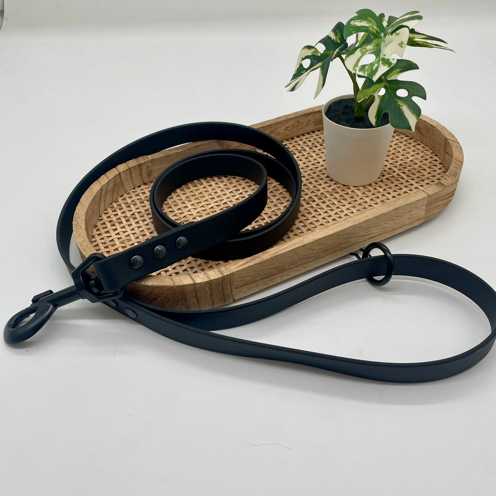 Laisse en biothane mono colore pour chien