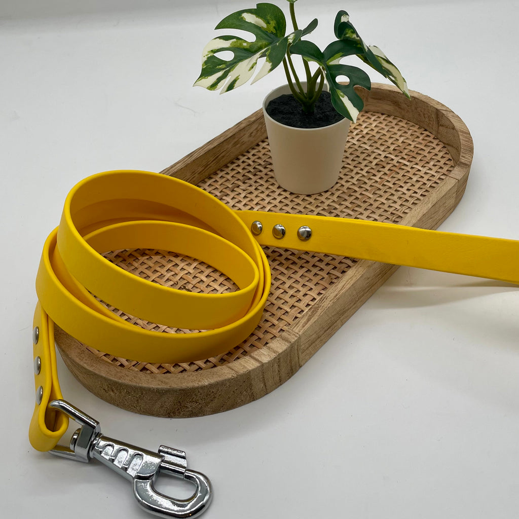 Laisse en biothane mono colore pour chien