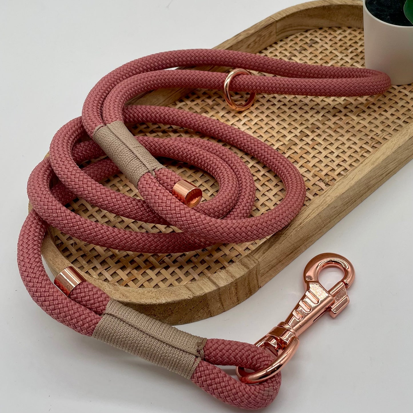 Laisses en Corde