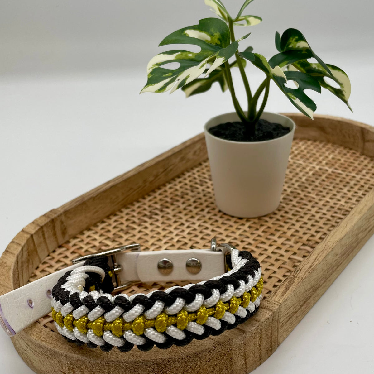 Collier paracorde pour chien tressage "Prêt à partir" - Bahia