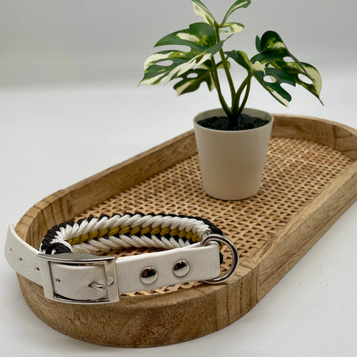 Collier paracorde pour chien tressage "Prêt à partir" - Bahia