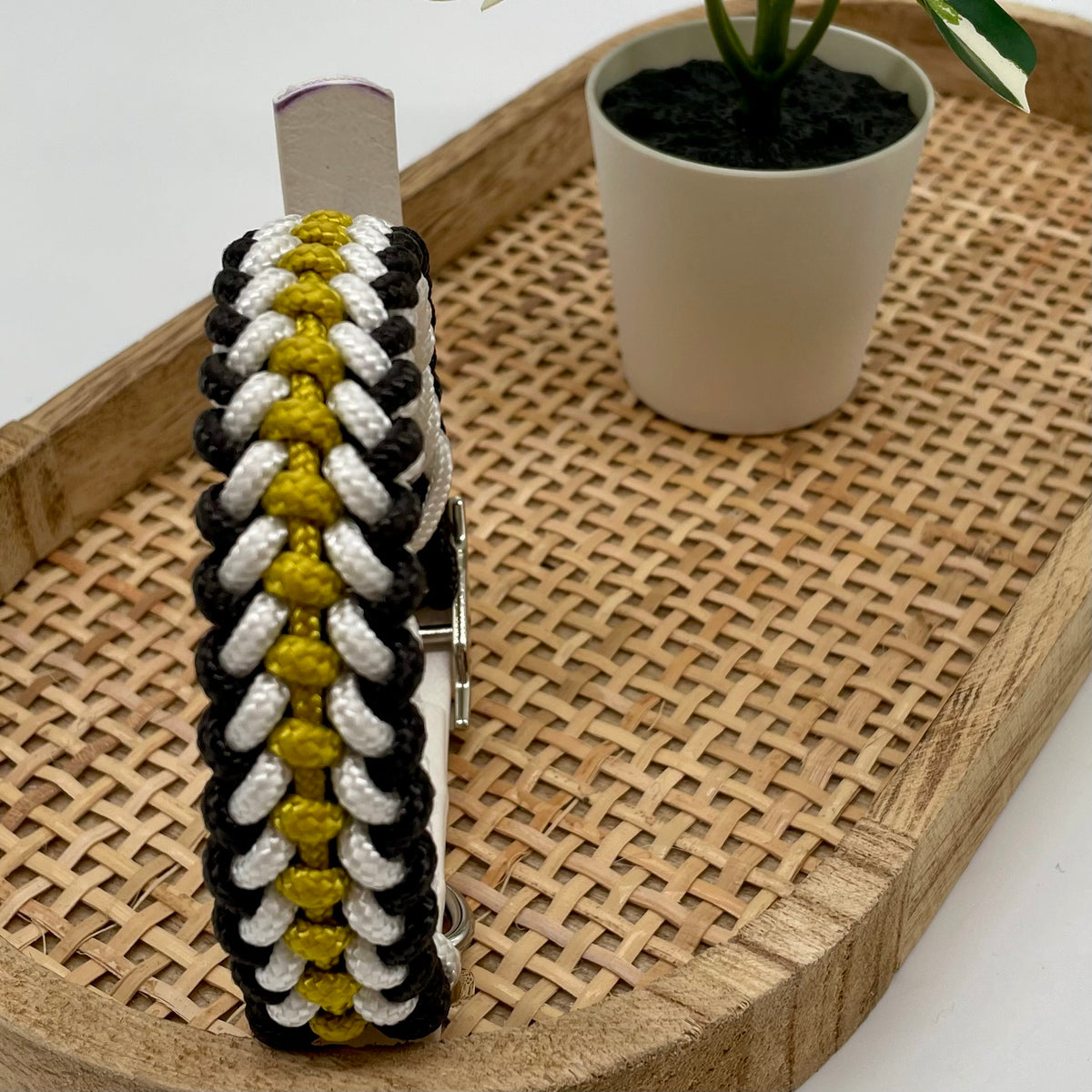 Collier paracorde pour chien tressage "Prêt à partir" - Bahia
