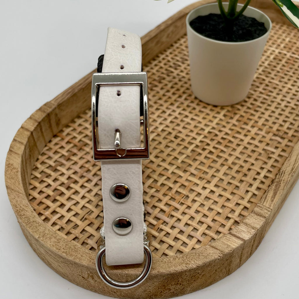 Collier paracorde pour chien tressage "Prêt à partir" - Bahia
