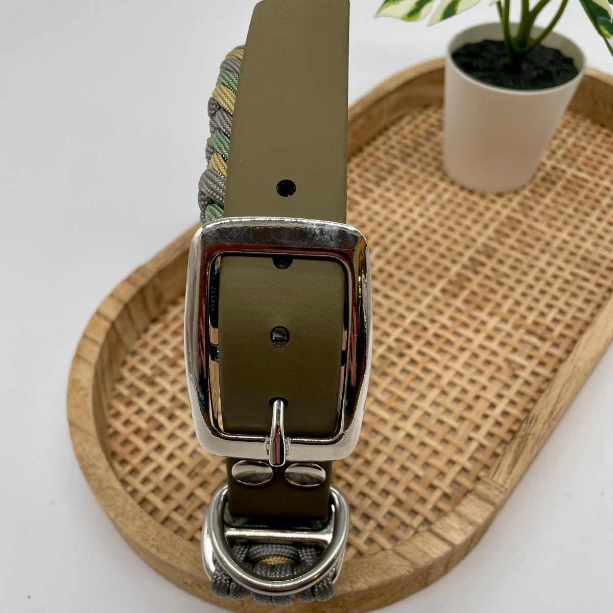 Collier paracorde pour chien tressage "Prêt à partir" - Biarritz