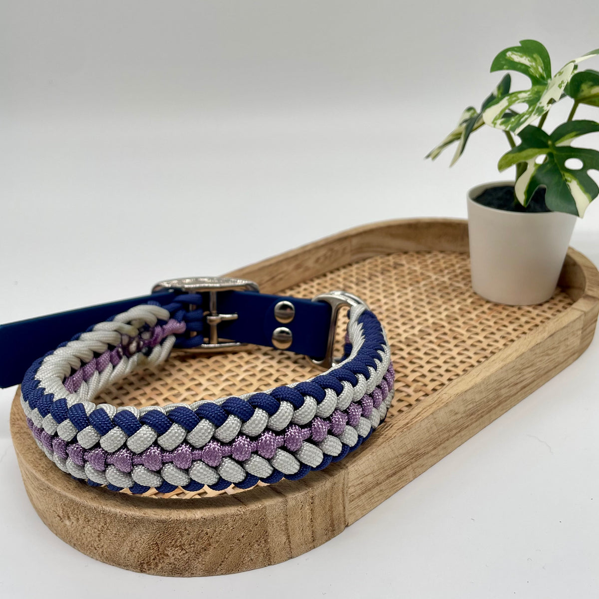 Collier paracorde pour chien tressage "Prêt à partir" - Bruges