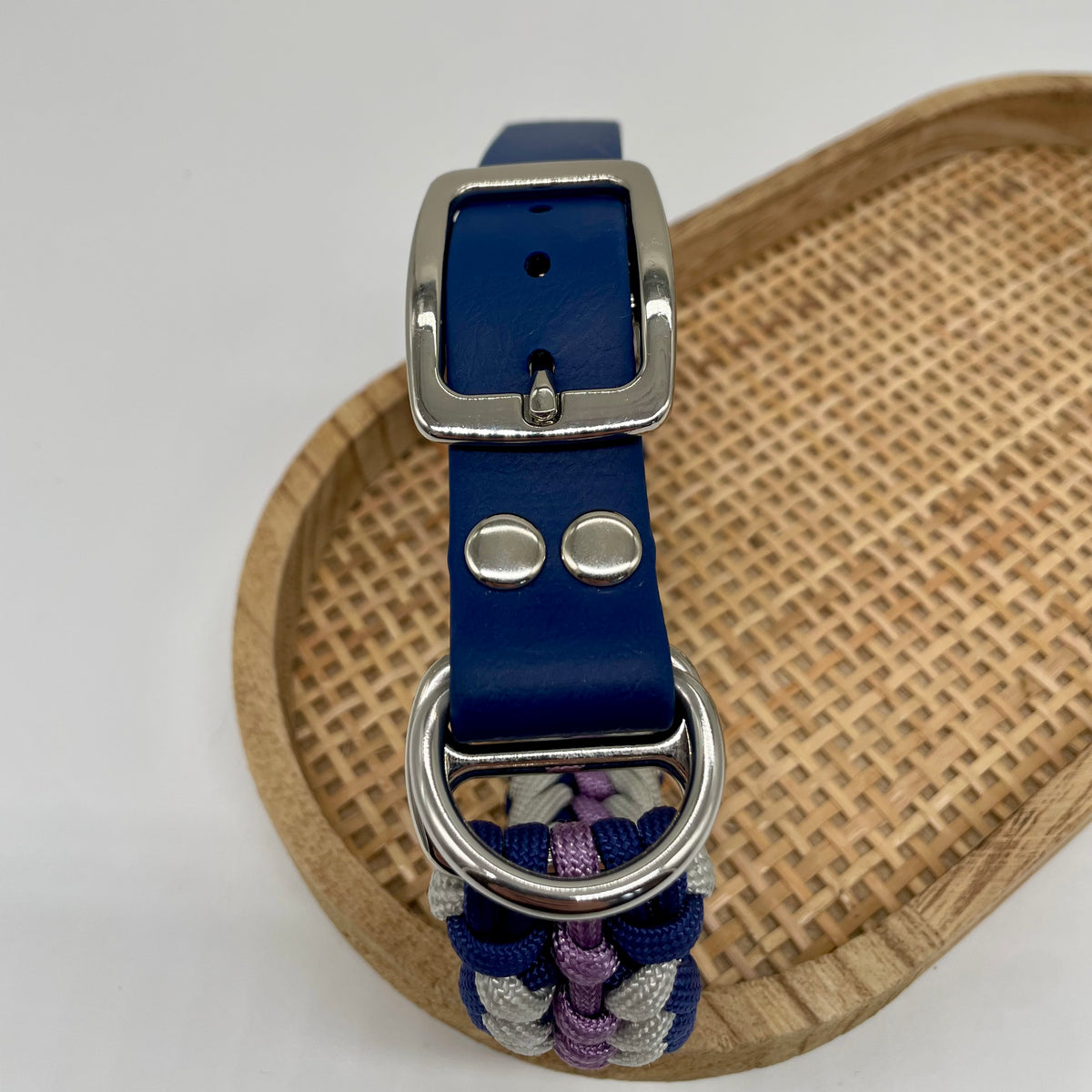 Collier paracorde pour chien tressage "Prêt à partir" - Bruges