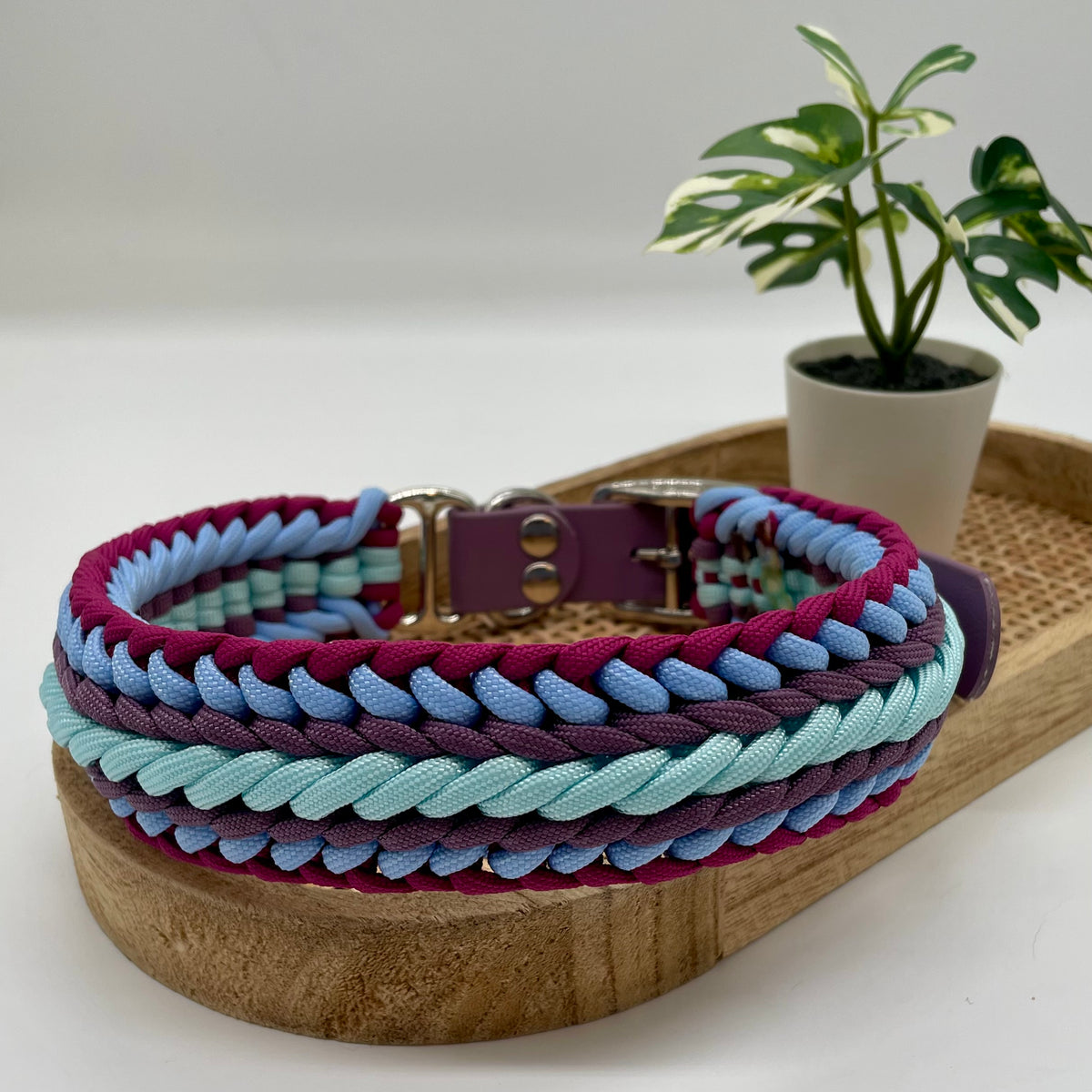 Collier paracorde pour chien tressage "Prêt à partir" - Capri