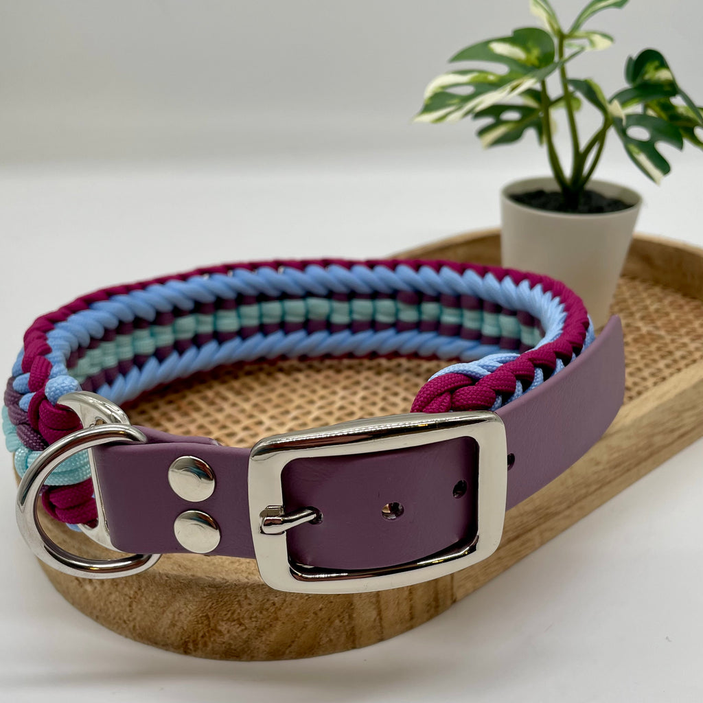 Collier paracorde pour chien tressage "Prêt à partir" - Capri