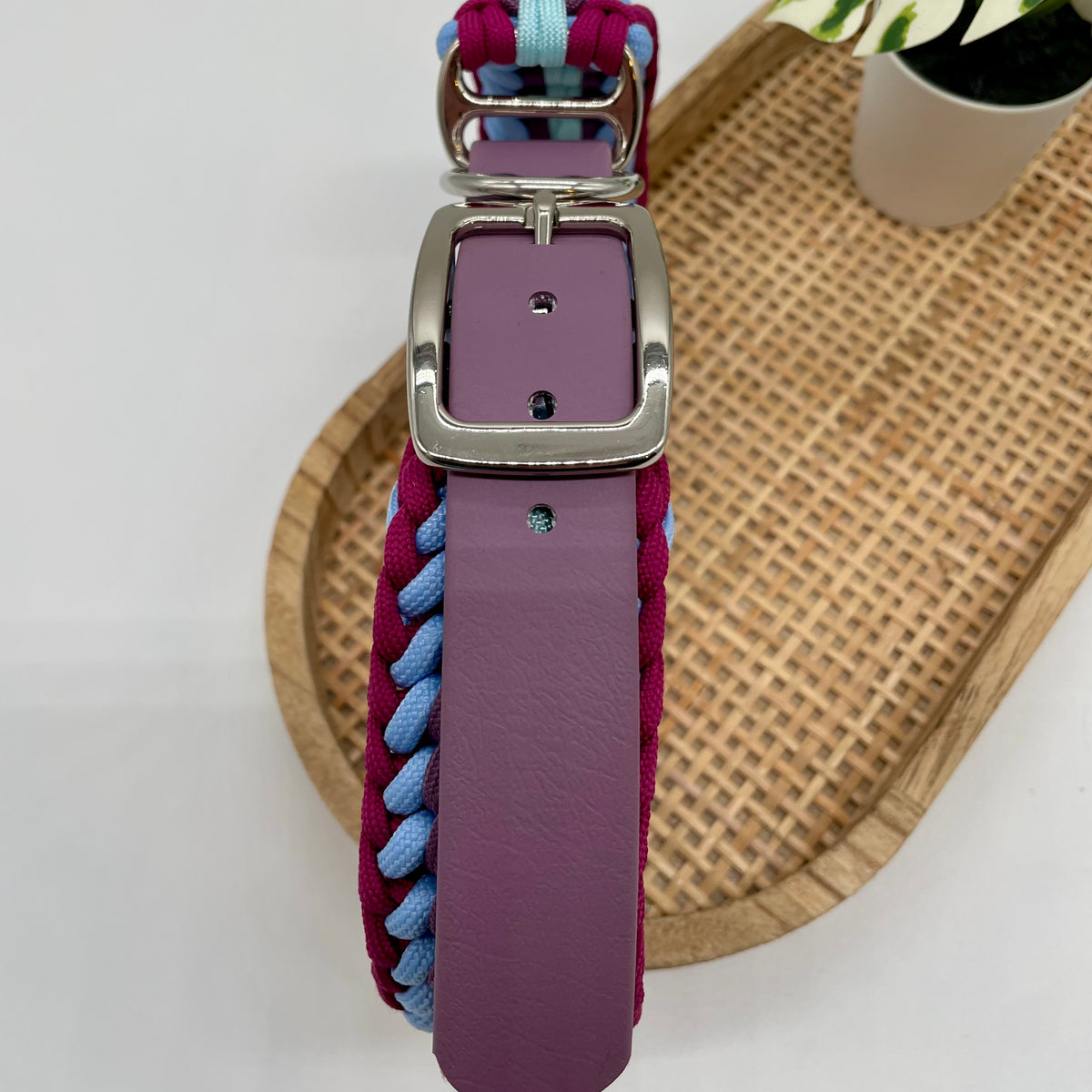 Collier paracorde pour chien tressage "Prêt à partir" - Capri