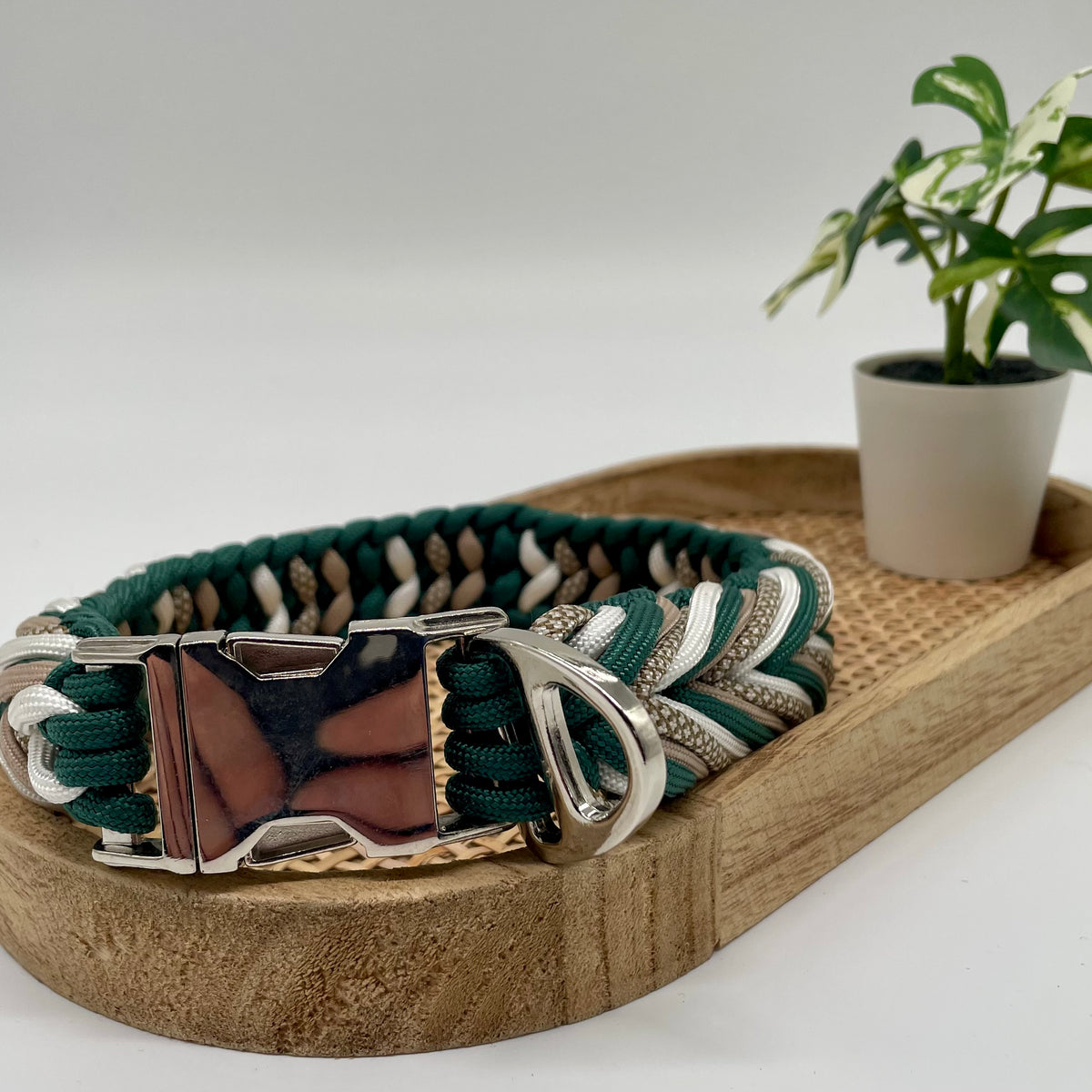 Collier paracorde pour chien tressage "Prêt à partir" - Cortina