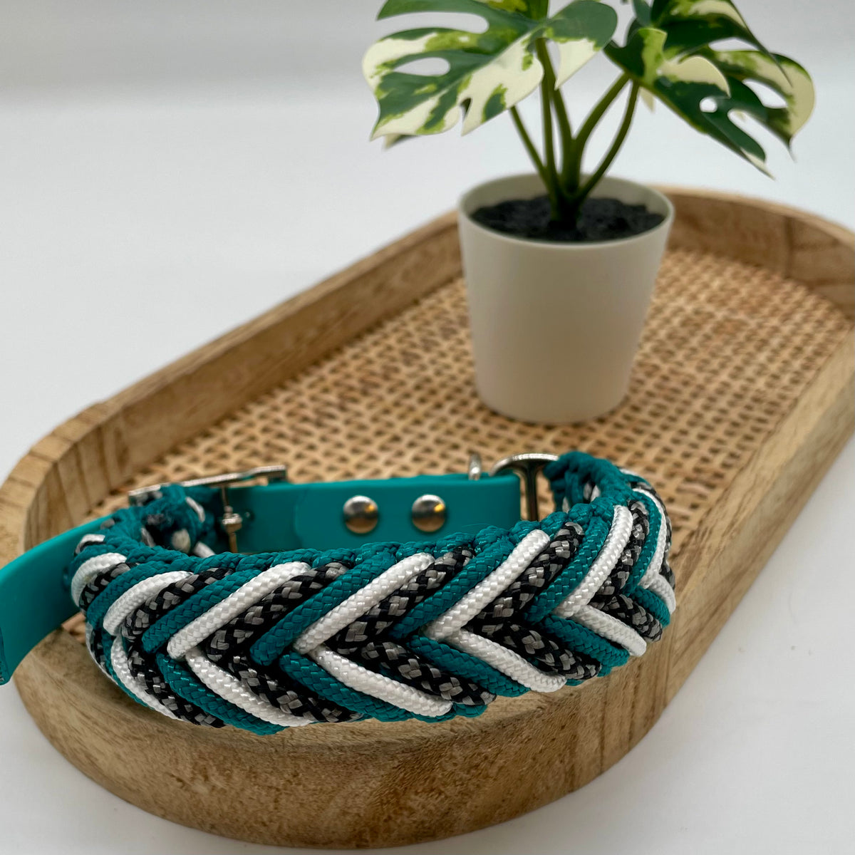 Collier paracorde pour chien tressage "Prêt à partir" - Dublin