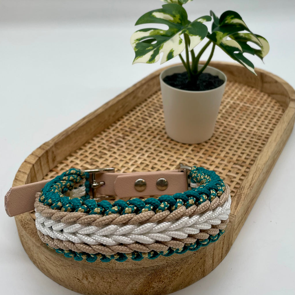 Collier paracorde pour chien tressage "Prêt à partir" - Evora Mini