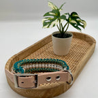 Collier paracorde pour chien tressage "Prêt à partir" - Evora Mini