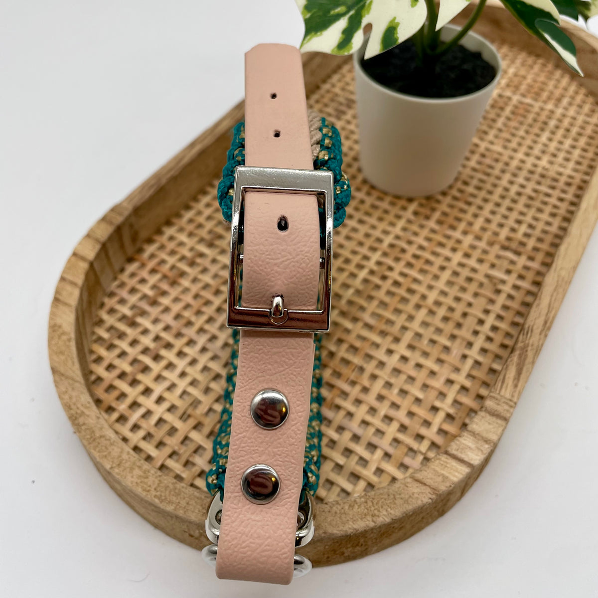 Collier paracorde pour chien tressage "Prêt à partir" - Evora Mini