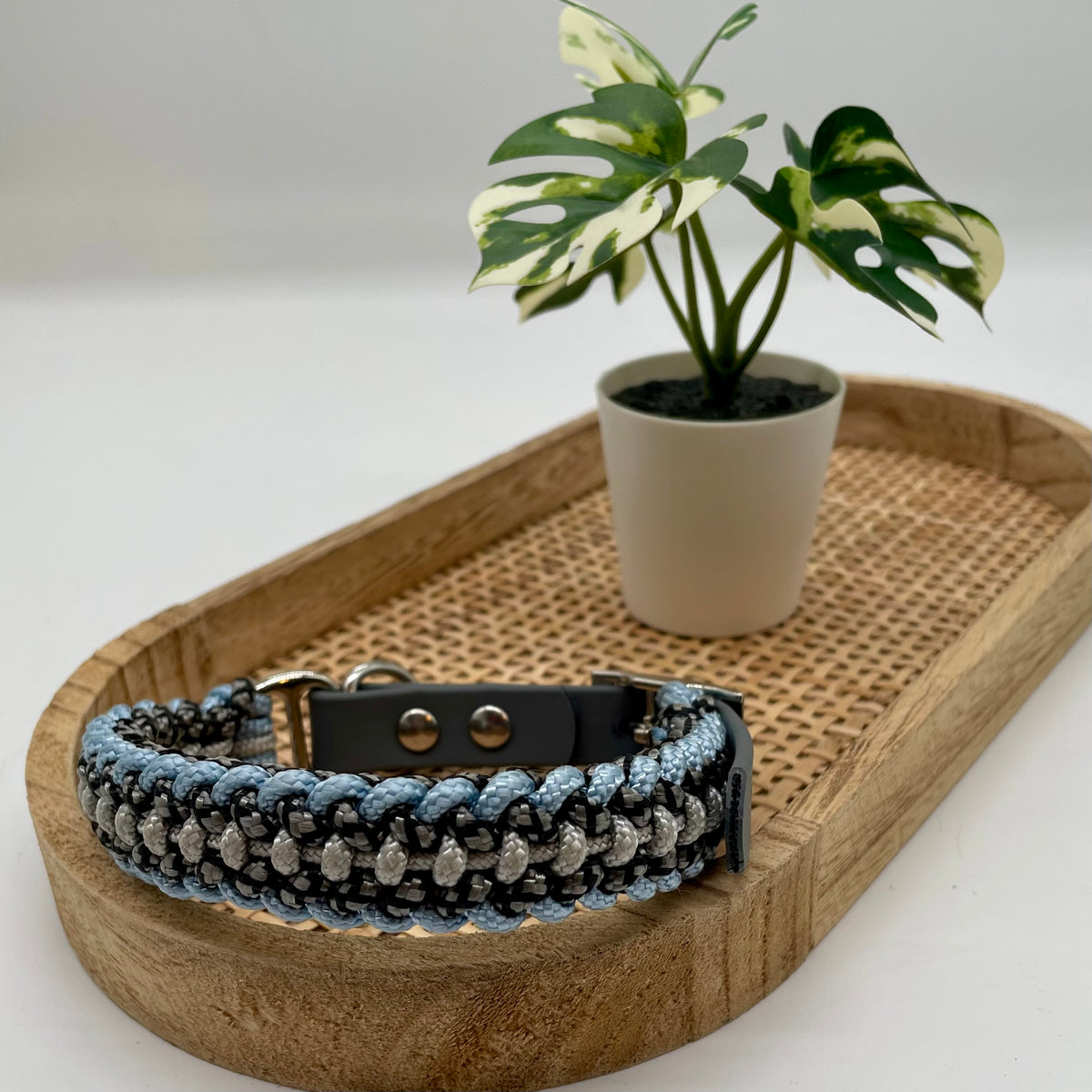 Collier paracorde pour chien tressage "Prêt à partir" - Genève