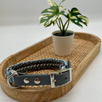 Collier paracorde pour chien tressage "Prêt à partir" - Genève