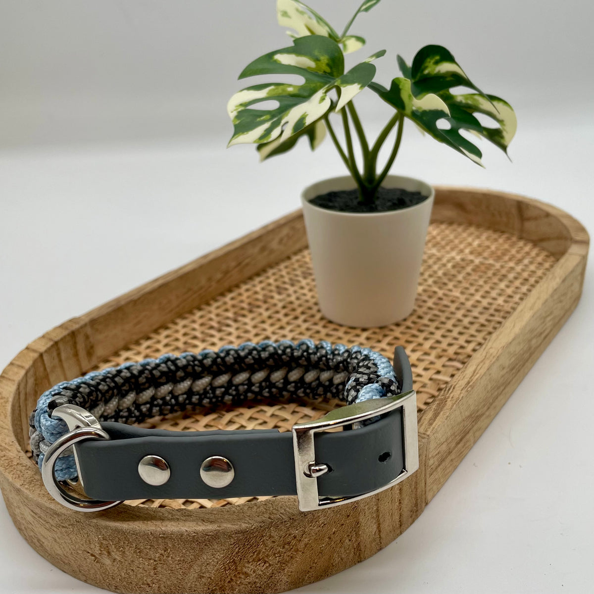 Collier paracorde pour chien tressage "Prêt à partir" - Genève