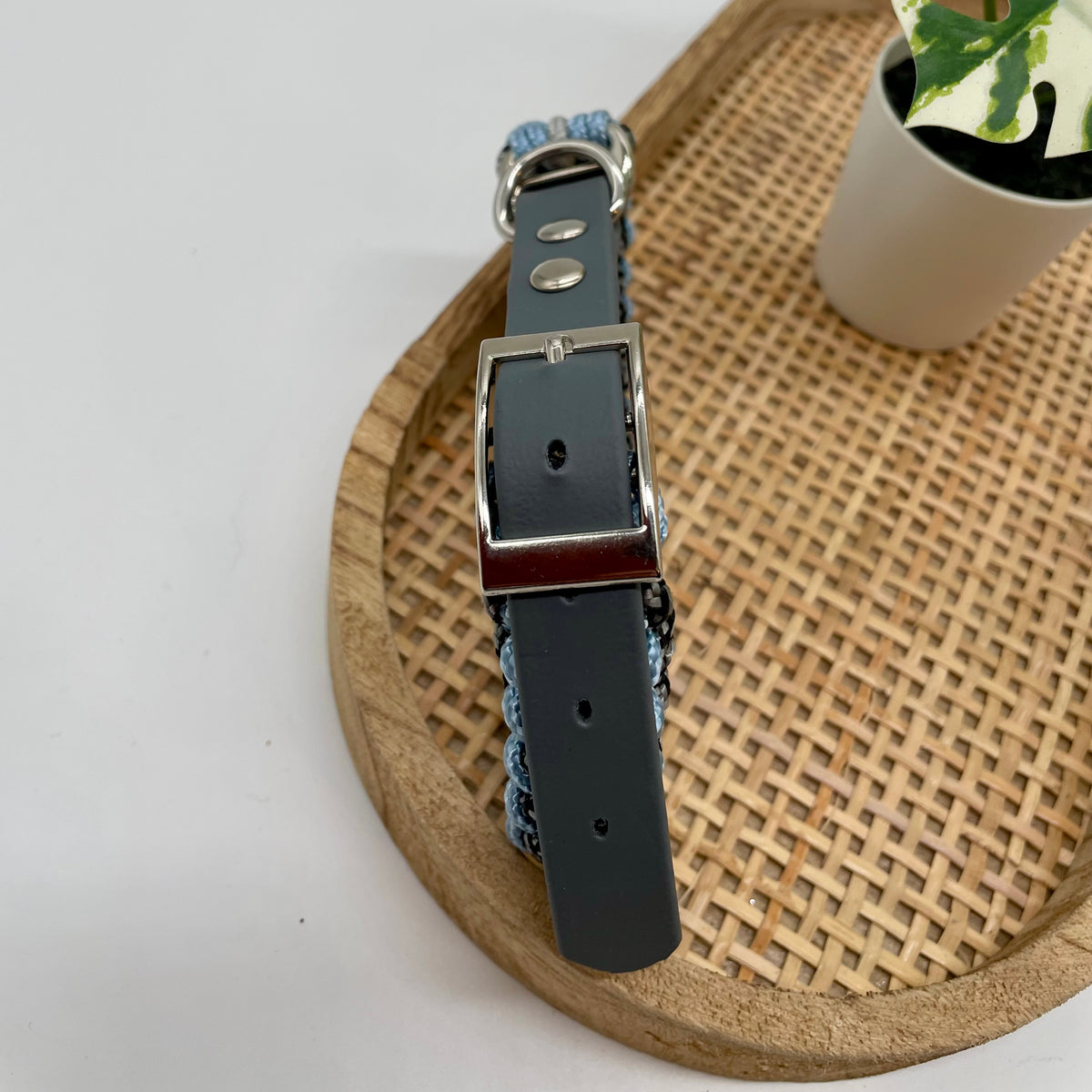 Collier paracorde pour chien tressage "Prêt à partir" - Genève