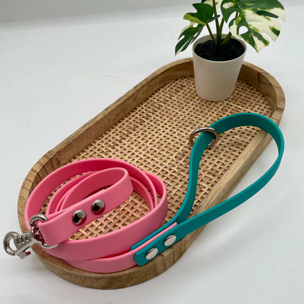 Laisse en biothane bicolore pour chien "Prêt à partir" - Miami