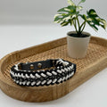 Collier paracorde pour chien tressage "Prêt à partir" - Milan Mini