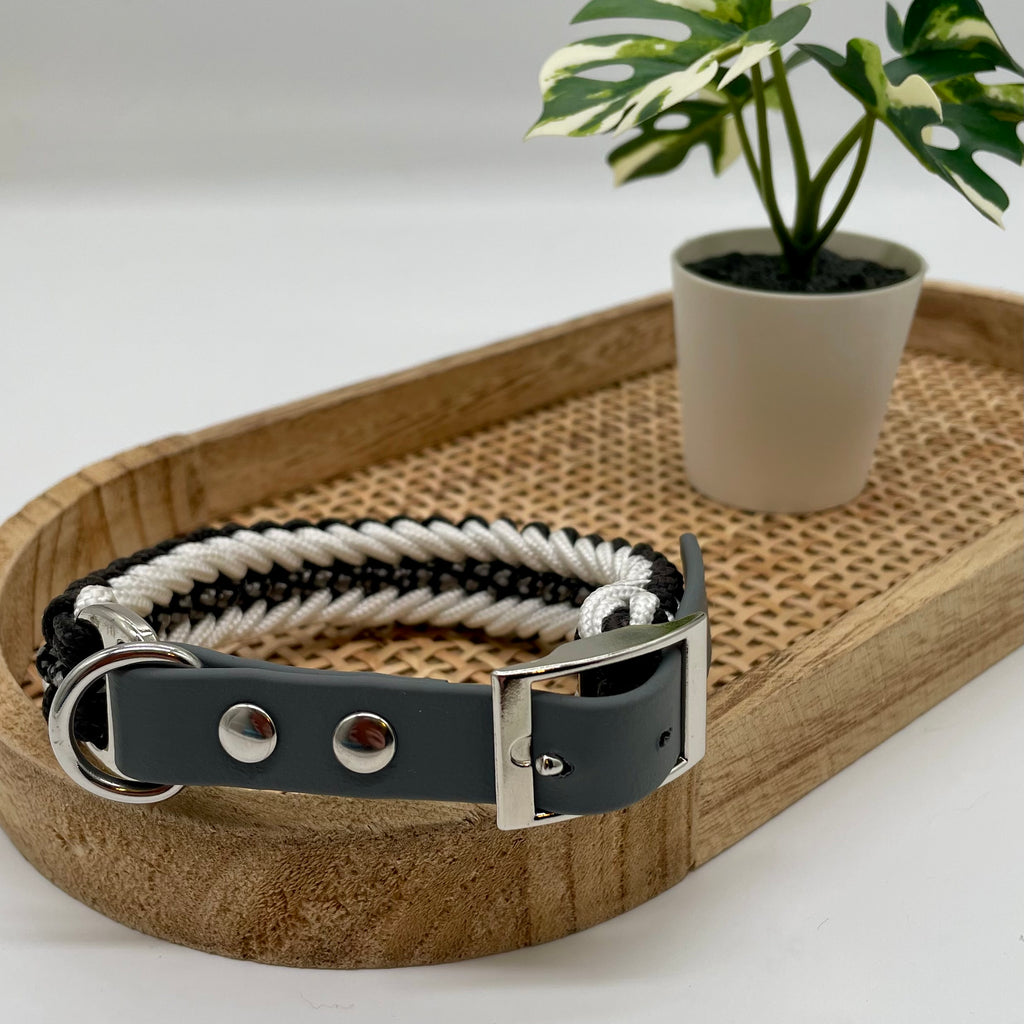 Collier paracorde pour chien tressage "Prêt à partir" - Milan Mini