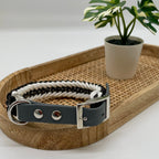 Collier paracorde pour chien tressage "Prêt à partir" - Milan Mini