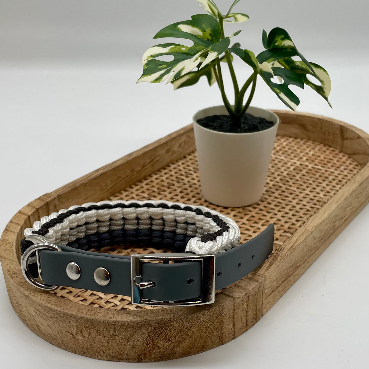 Collier paracorde pour chien tressage "Prêt à partir" - Milan II Mini