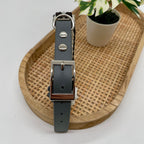 Collier paracorde pour chien tressage "Prêt à partir" - Milan II Mini
