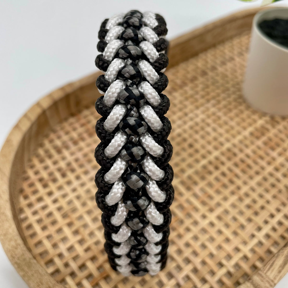 Collier paracorde pour chien tressage "Prêt à partir" - Milan Mini