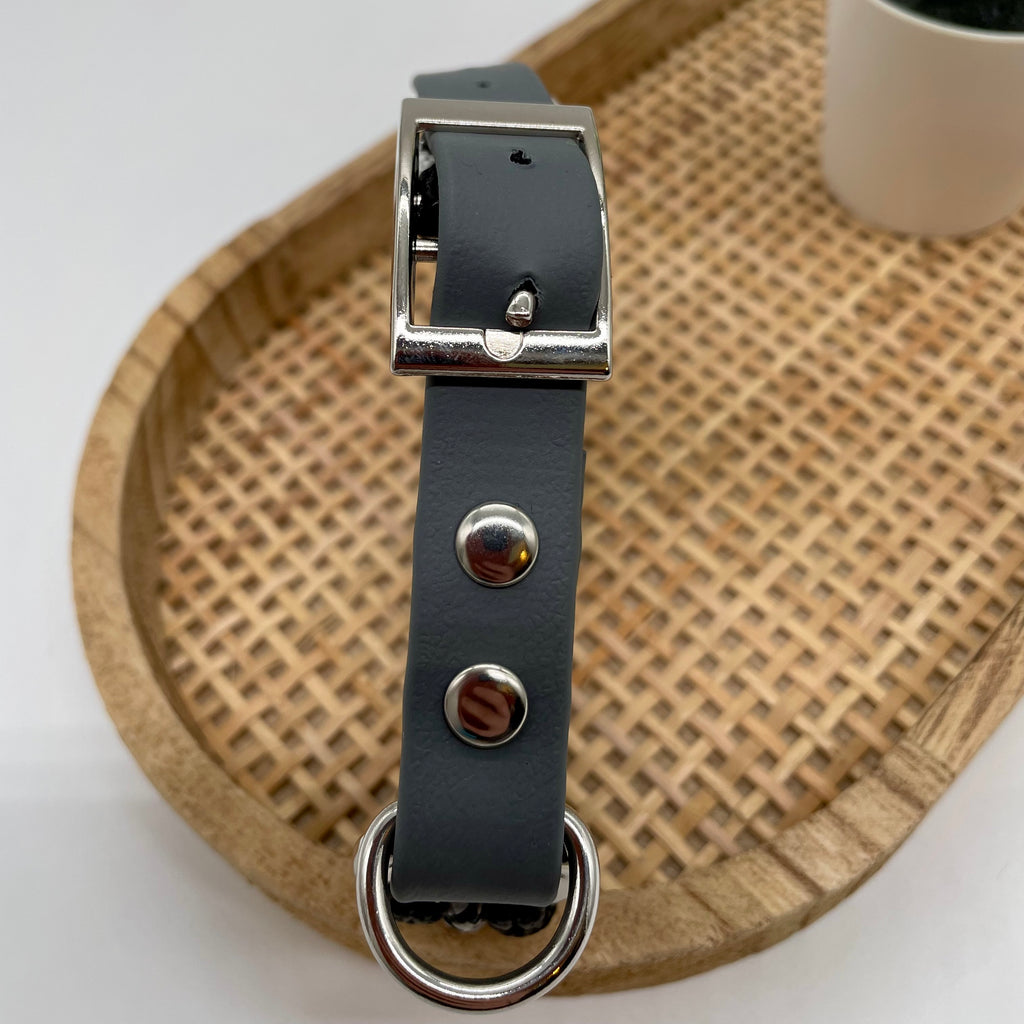 Collier paracorde pour chien tressage "Prêt à partir" - Milan Mini