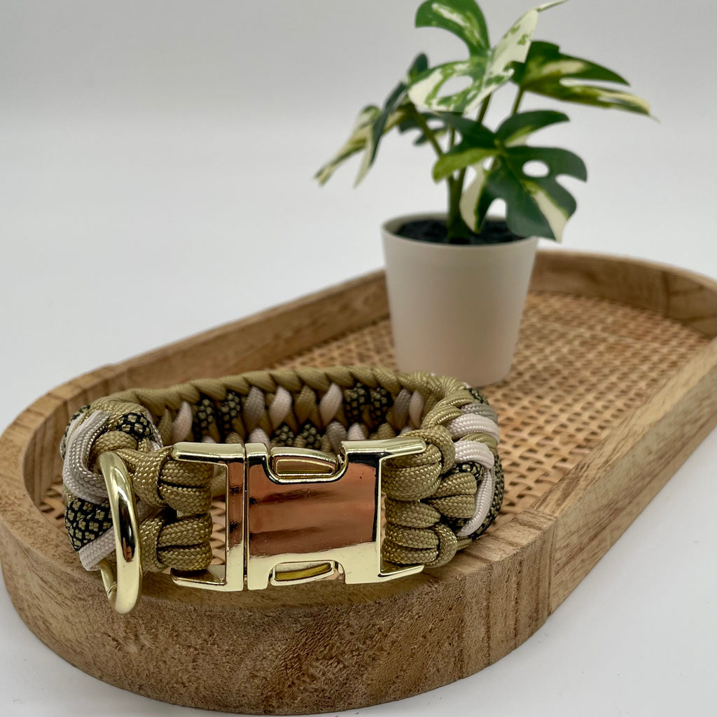 Collier paracorde pour chien tressage "Prêt à partir" - Monaco