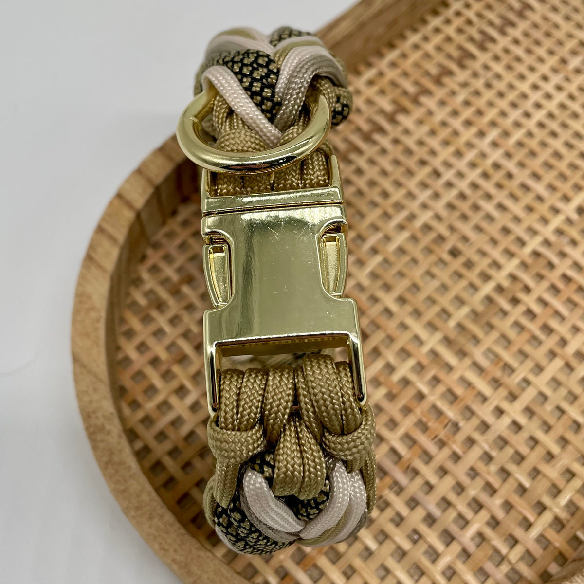 Collier paracorde pour chien tressage "Prêt à partir" - Monaco