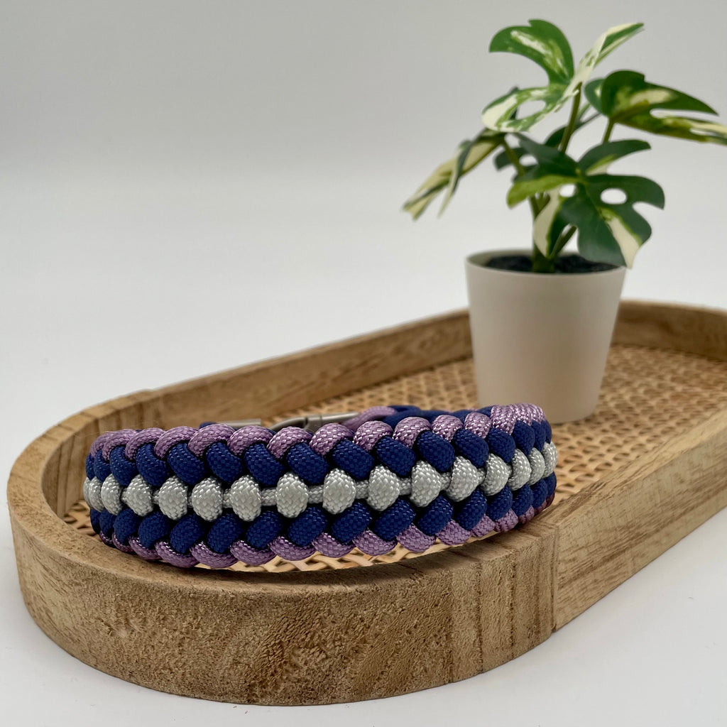 Collier paracorde pour chien tressage "Prêt à partir" - Riga