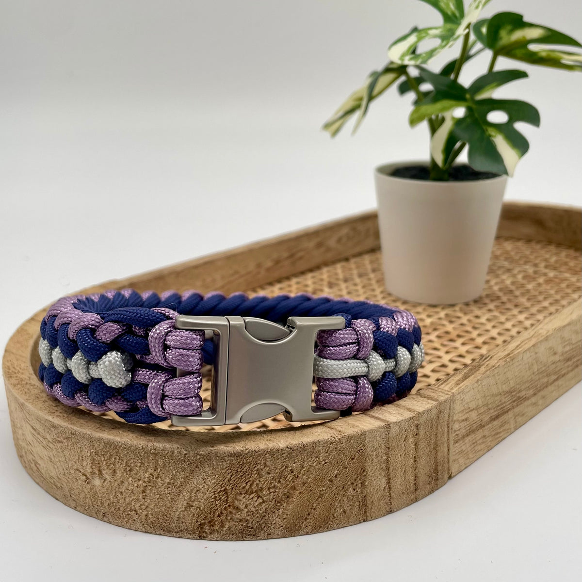 Collier paracorde pour chien tressage "Prêt à partir" - Riga