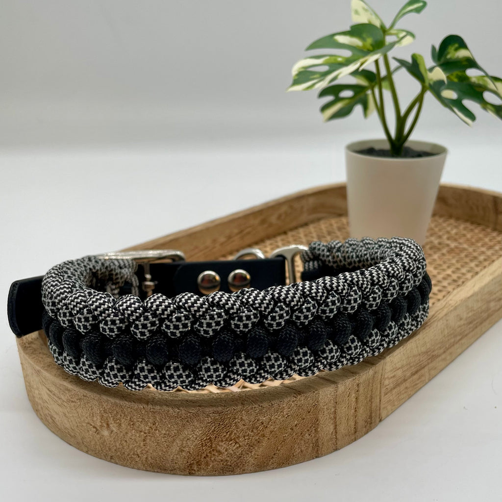 Collier paracorde pour chien tressage "Prêt à partir" - Tokyo