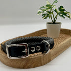 Collier paracorde pour chien tressage "Prêt à partir" - Tokyo