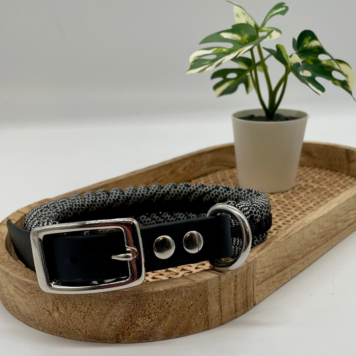 Collier paracorde pour chien tressage "Prêt à partir" - Tokyo
