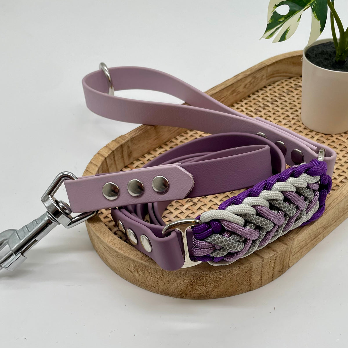 Laisse en biothane bicolore pour chien "Prêt à partir" - Valensole