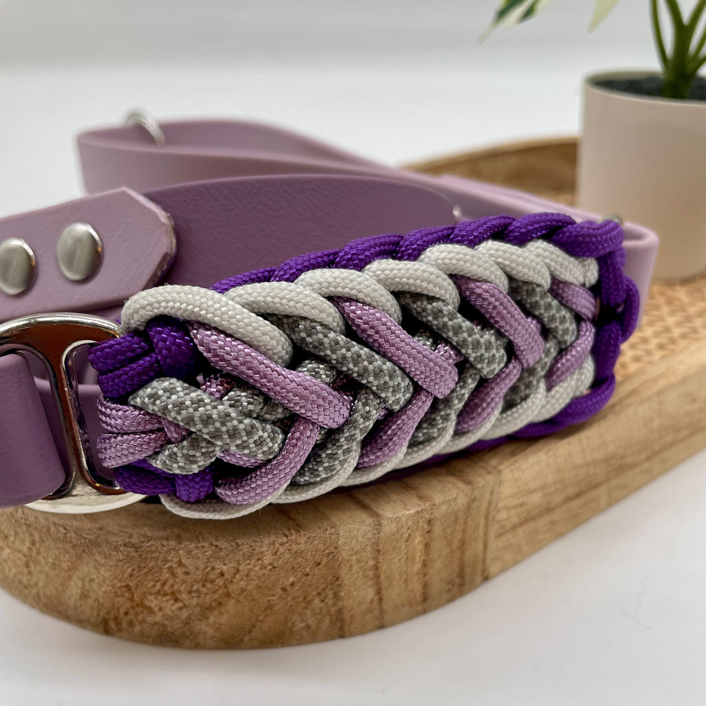Laisse en biothane bicolore pour chien "Prêt à partir" - Valensole